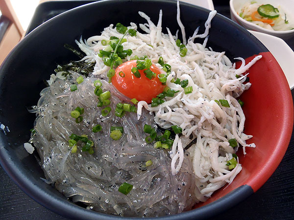 ２色丼